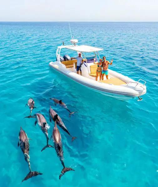 Delfinhaus Hurghada