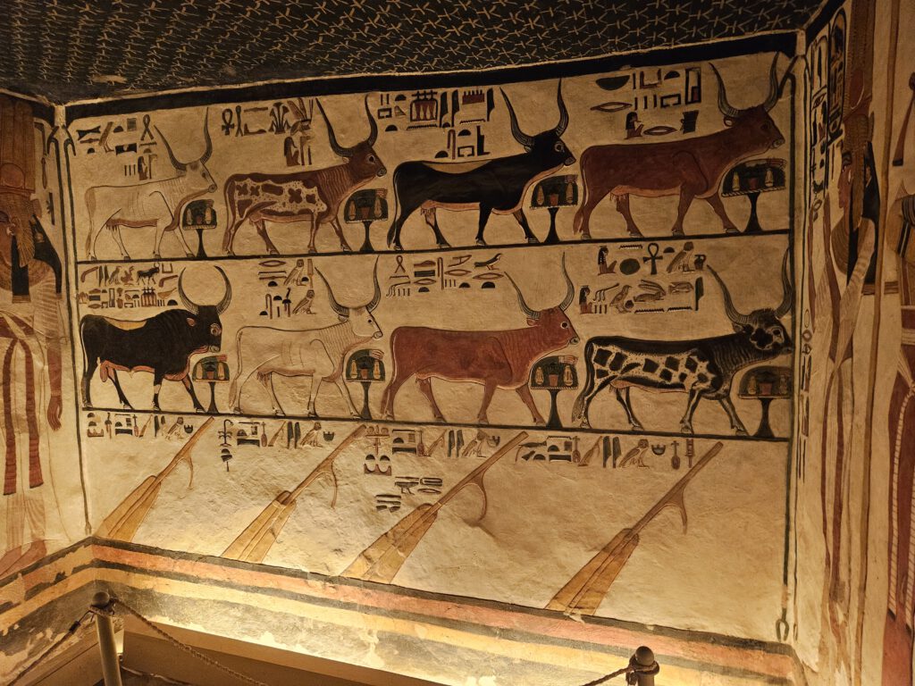 Grab der Nefertari