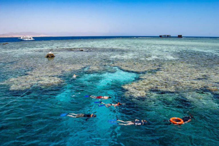 Ausflug zur Tiran Insel